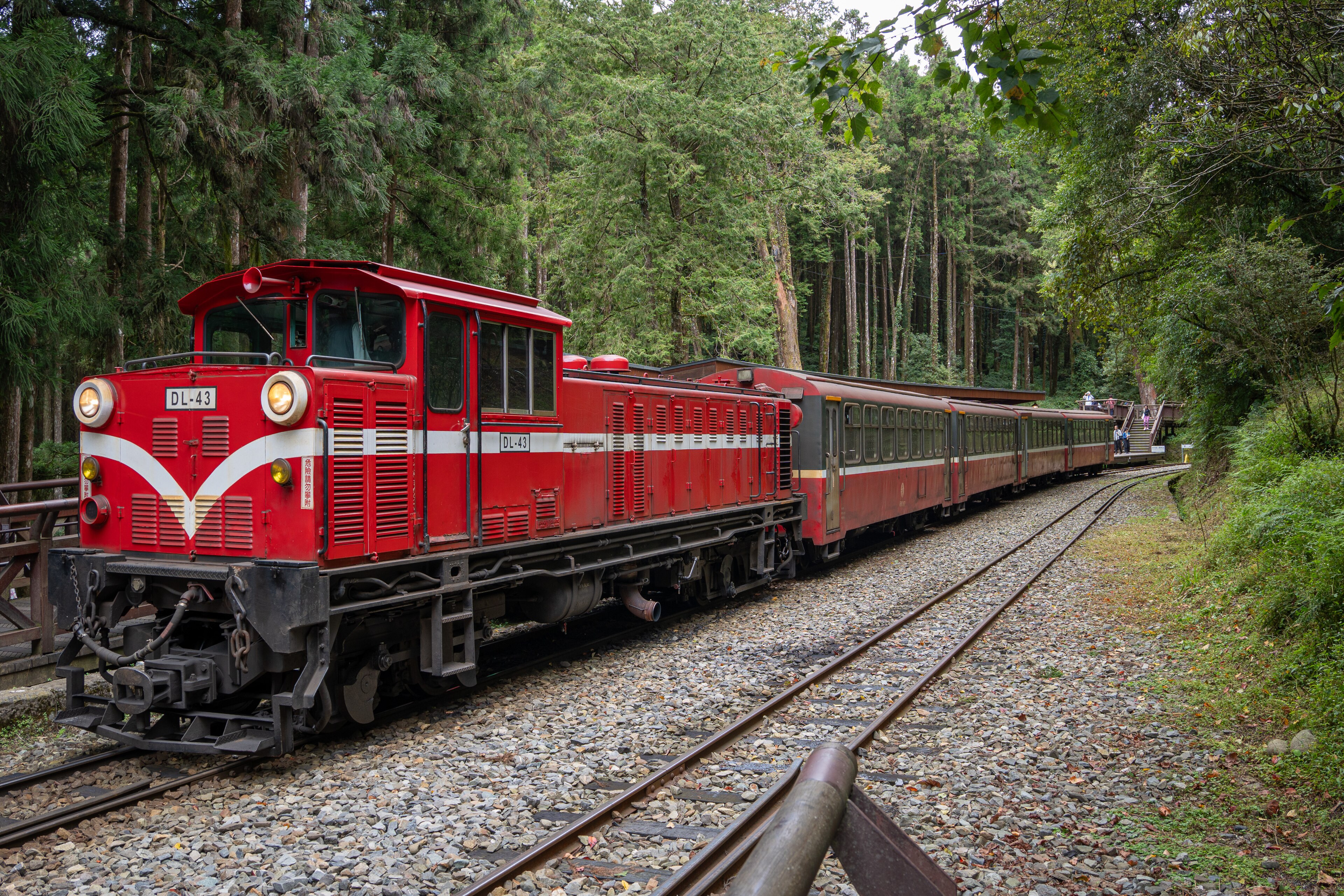 รถไฟป่าอาลีซานสายแดง — เที่ยวอาลีซาน ไต้หวัน
