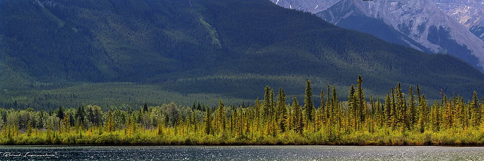 Vermilion Lakes สะท้อนเงาภูเขา Rundle ยามพระอาทิตย์ตก แบนฟ์