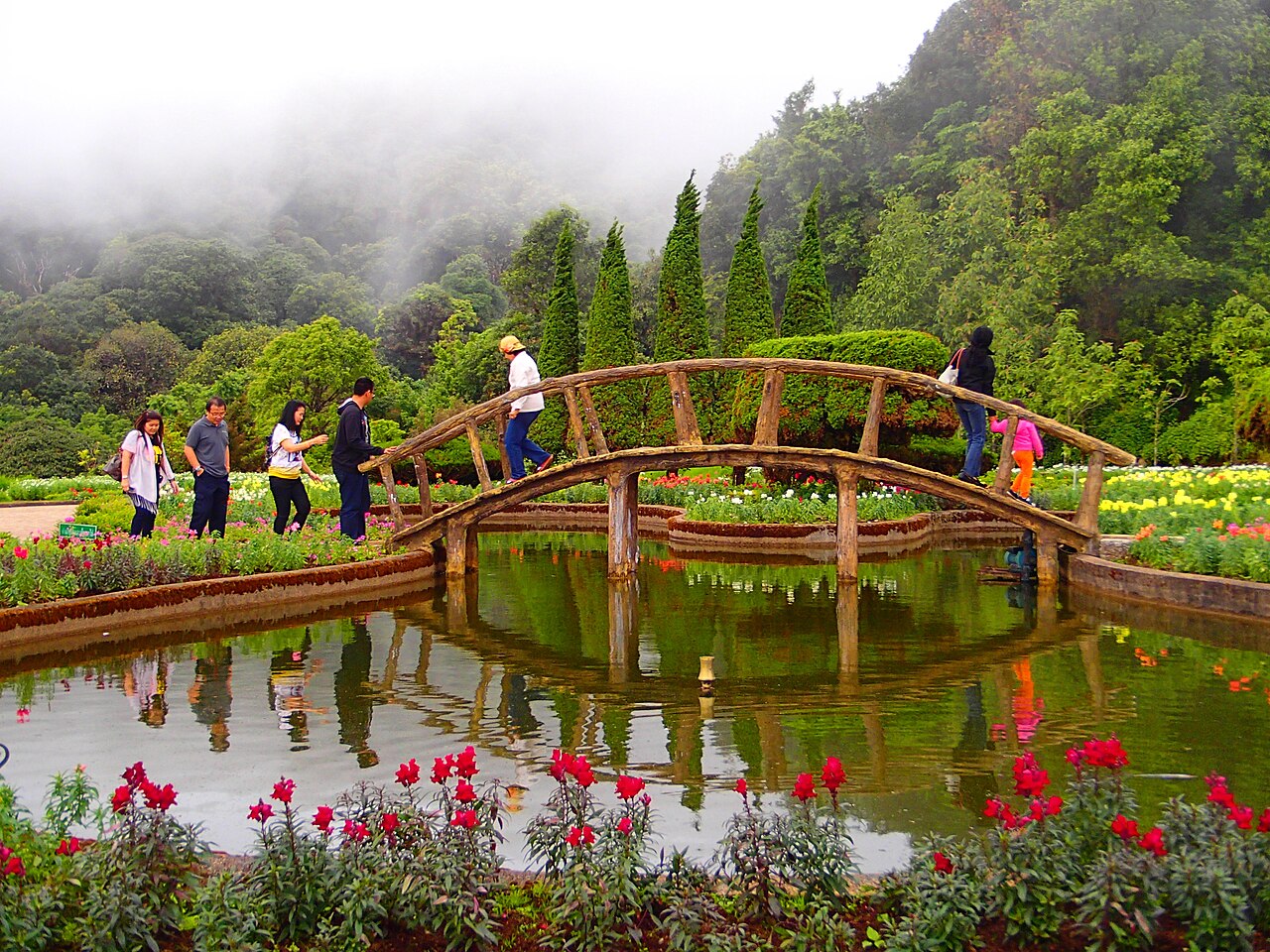สวนและภูเขาเขียวขจีบนดอยอินทนนท์เชียงใหม่ในหน้าฝน