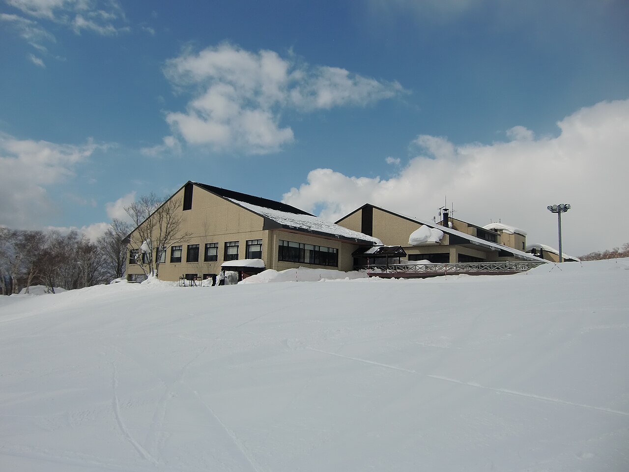 ลานสกี Niseko Annupuri สำหรับมือใหม่และครอบครัว