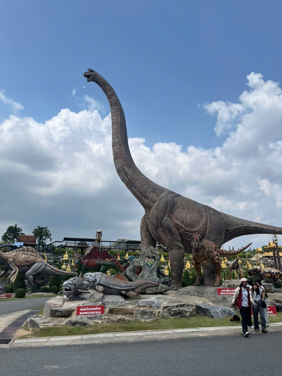 Paths and planted beds at Nong Nooch Garden, Pattaya — the botanical grounds laid out as varied themed gardens