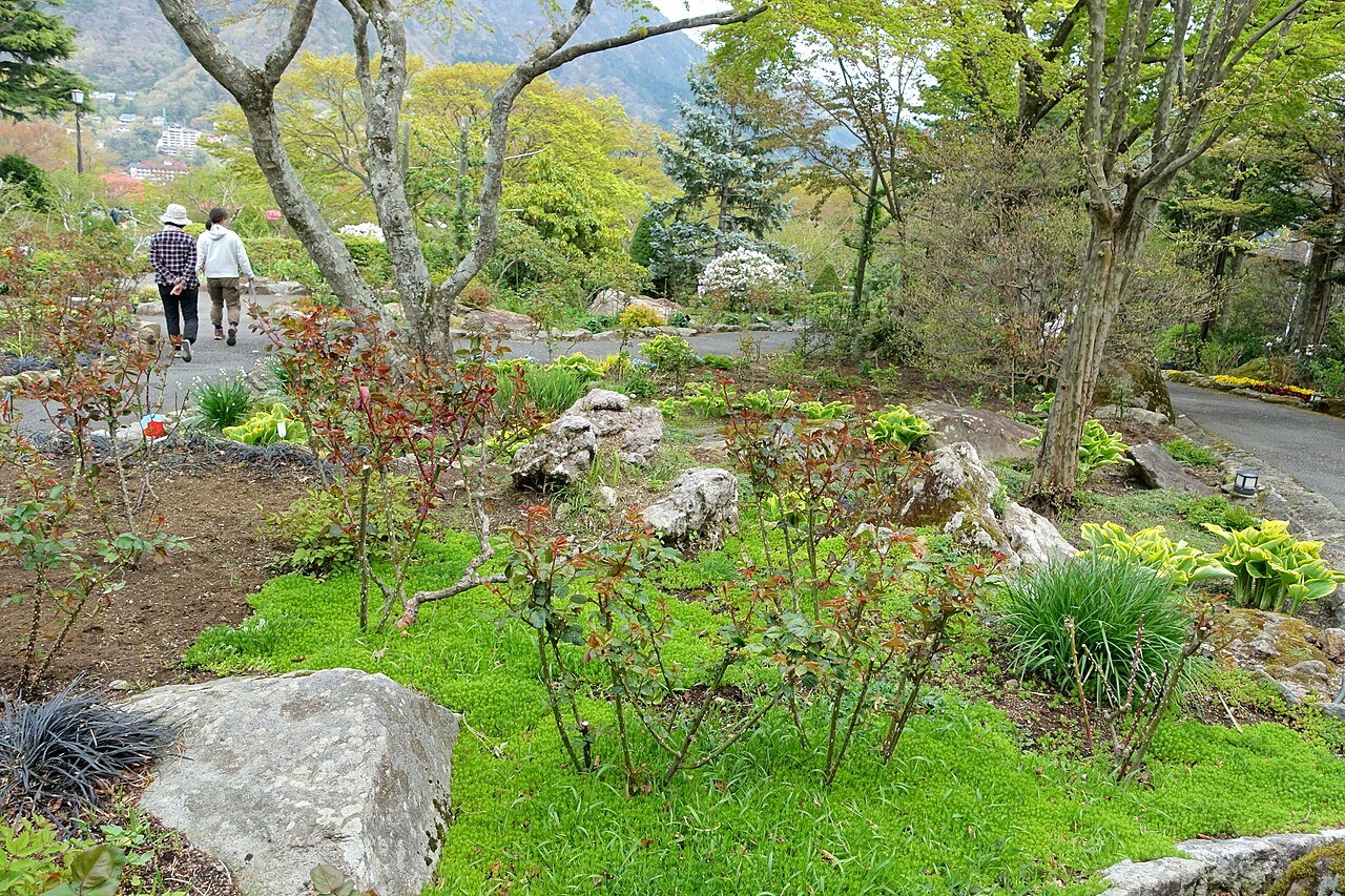 Hakone Gora Kadan เรียวกังหรู