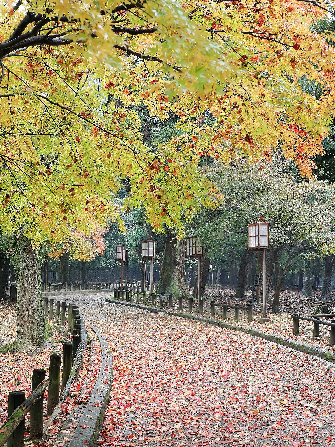 JW Marriott Hotel Nara