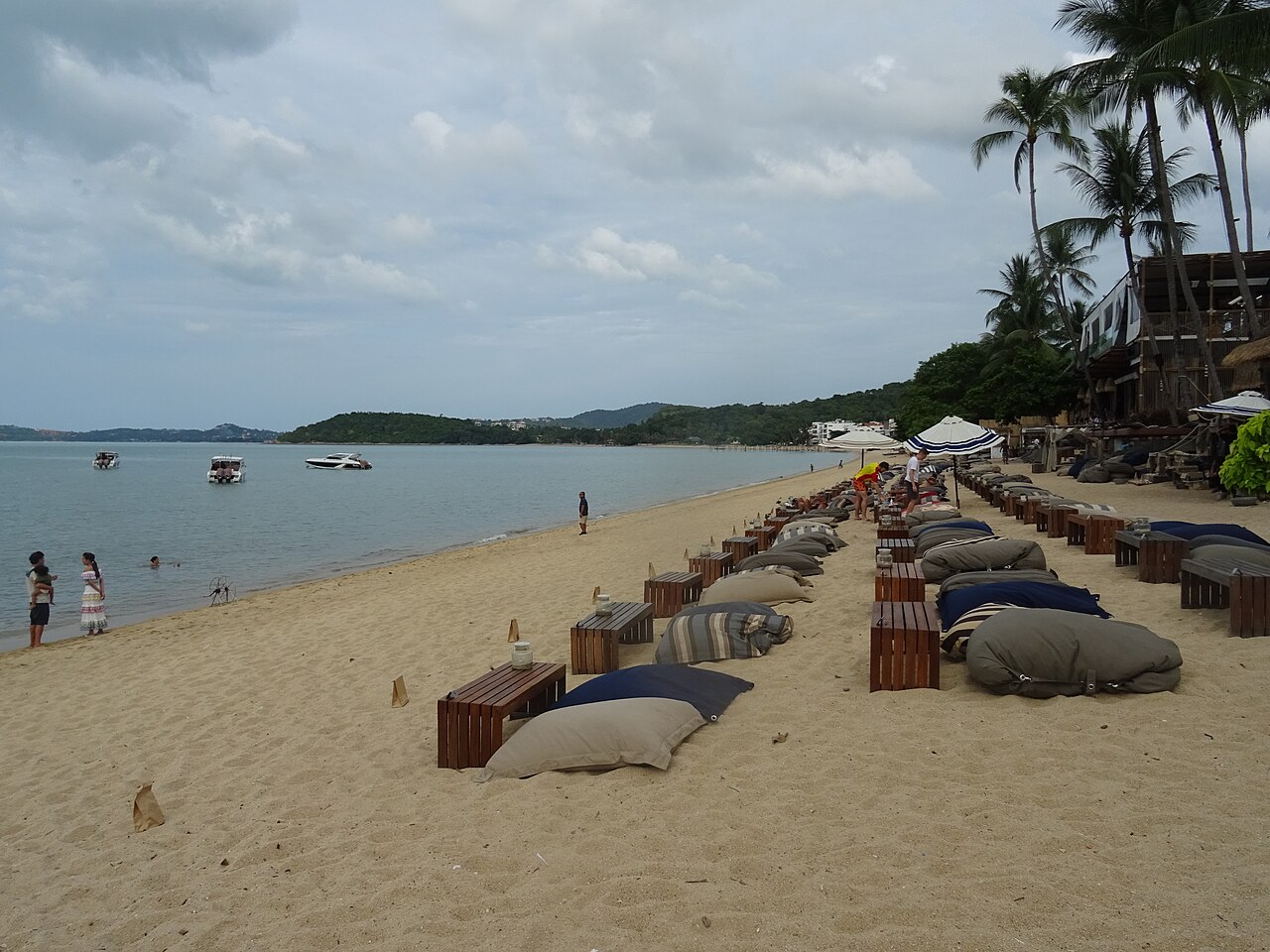หาดบ่อผุด เกาะสมุย — เบาะนั่งบีชคลับเรียงริมทรายสีทอง อ่าวสงบมองเห็นเกาะพะงันไกลๆ