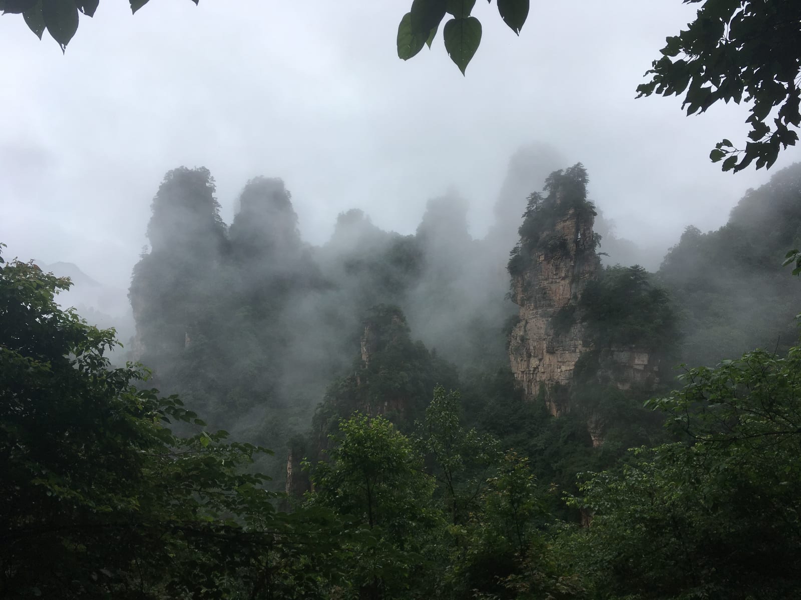 เขาเทียนจื่อมองเห็นทะเลเสาหินทรายในจางเจียเจี้ย — เที่ยวจางเจียเจี้ย จีน