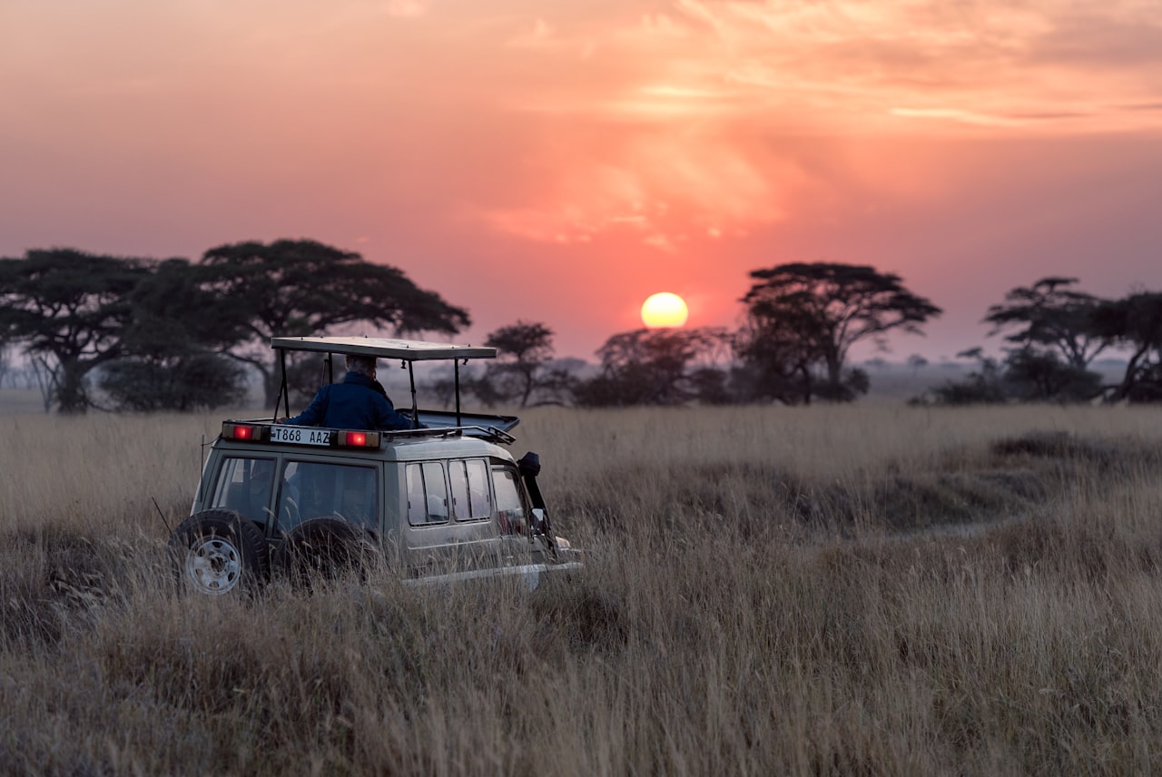 Safari game drive across the savanna, Kenya