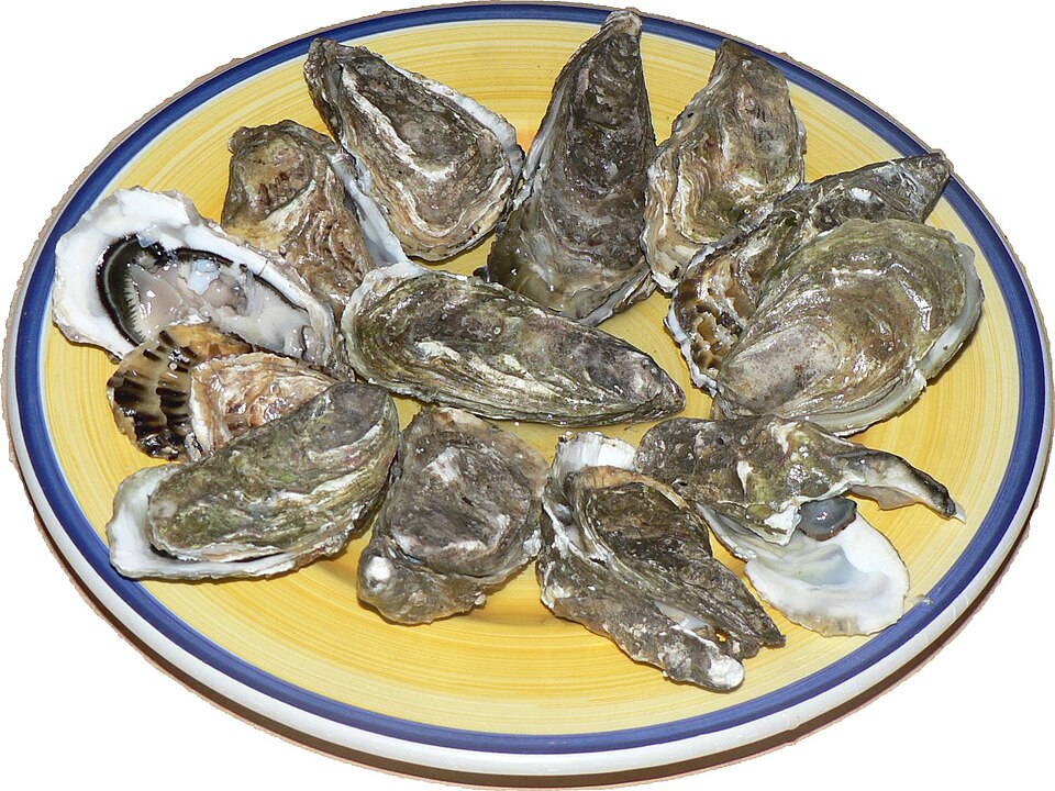New England Oysters — บอสตัน