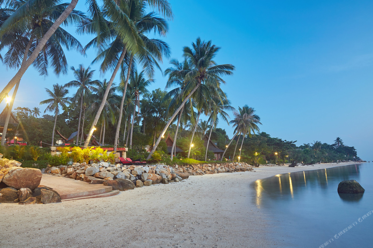 หาดทรายหน้ารีสอร์ตช่วงพลบค่ำ ไฟตามทางเดินและดงมะพร้าว
