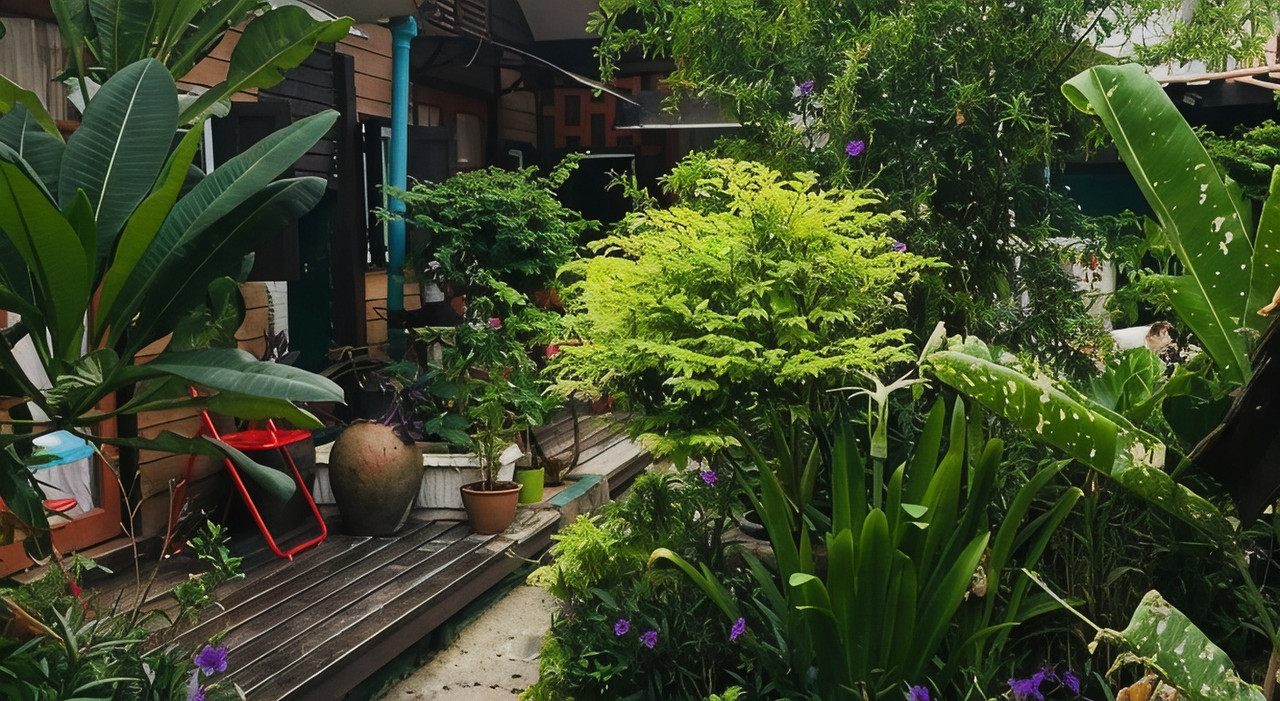ลานสวนกลางบ้านของ Noom Guesthouse ลพบุรี มีต้นไม้เขียวและระเบียงไม้