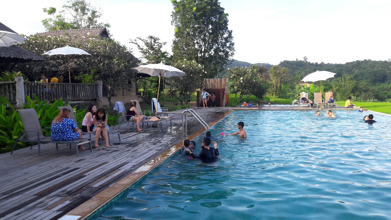 ลานสระว่ายน้ำริมระเบียงไม้ มองทุ่งนาและภูเขา Phu Pai Art Resort