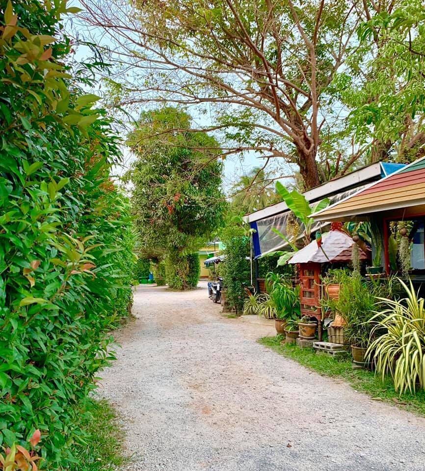 ทางเดินในสวนร่มรื่นพร้อมบังกะโลแยกหลังของ Saiburi Resort