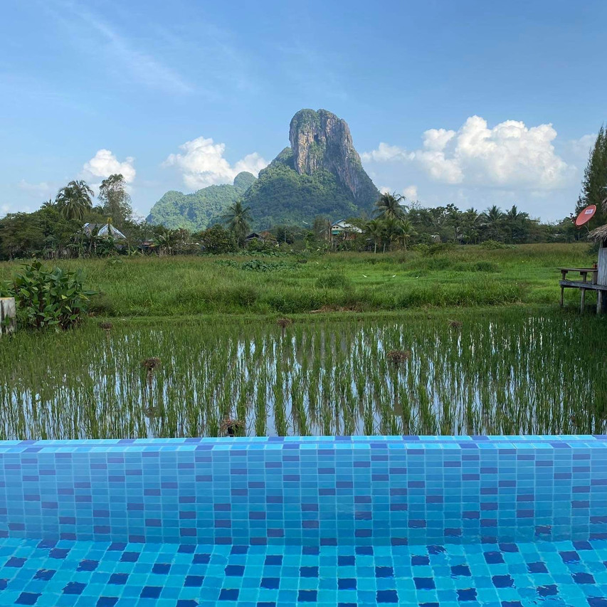 สระว่ายน้ำขอบทุ่งนาของ Lanna Homestay มองเห็นเขาอกทะลุ