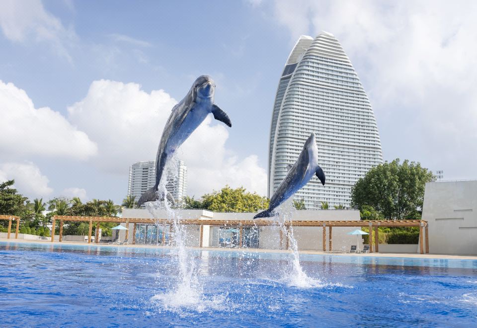 รีวิว Atlantis Sanya