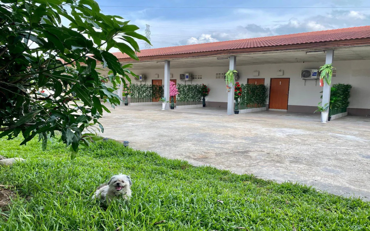Covered drive-up parking outside the rooms at Sweet Hug Hotel with a green lawn and a resident dog