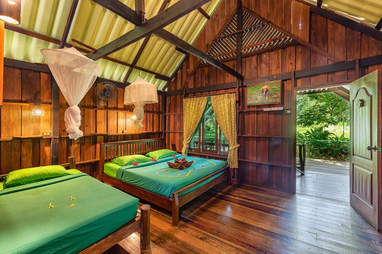Inside a wooden cottage with twin beds, mosquito nets and a fan, door open to the jungle