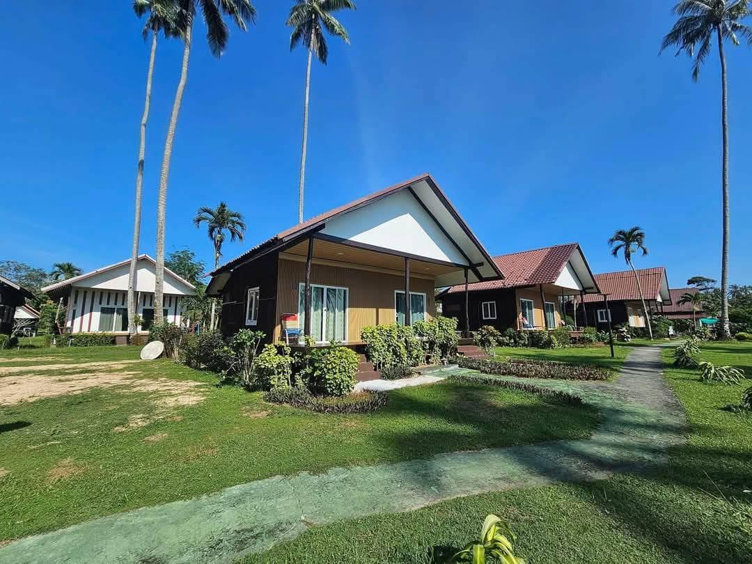 Wooden bungalows among coconut palms at Koh Kood Cabana