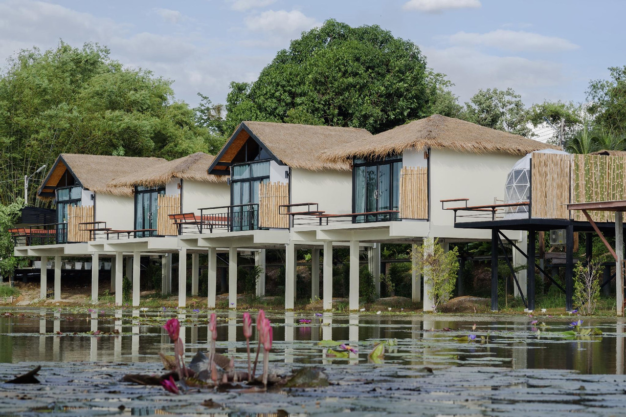 เรือนพักและเต็นท์โดมกระจกริมสระบัวที่มีดอกบัวบานช่วงกลางวัน
